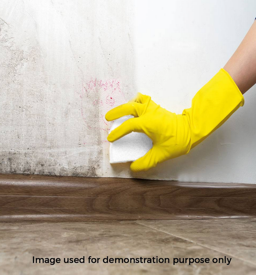 BHAC0001 Éponge Magique pack de 2 pièces