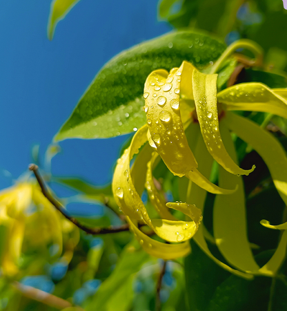 146U Inspired by Rouge...Balmi... 50 ml